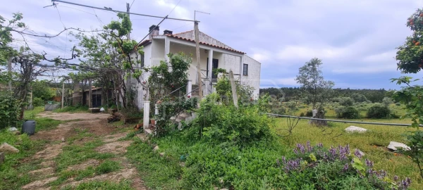 Quinta T7 para Venda em Monsanto e Idanha-A-Velha