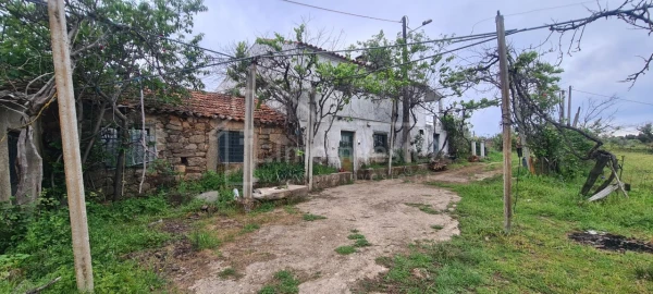 Quinta T7 para Venda em Monsanto e Idanha-A-Velha