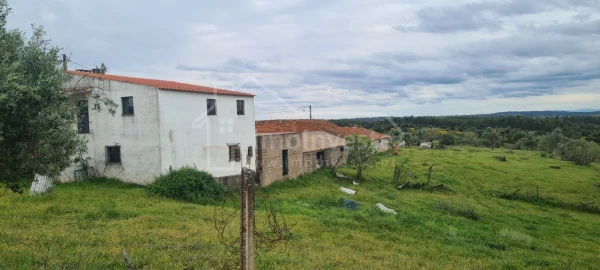 Quinta T7 para Venda em Monsanto e Idanha-A-Velha