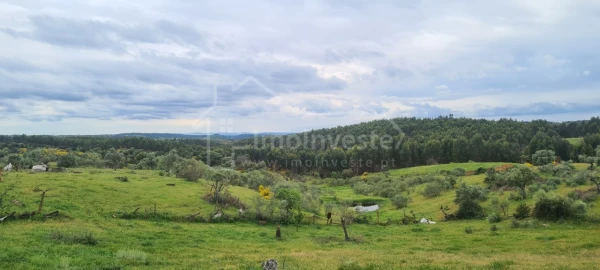 Quinta T7 para Venda em Monsanto e Idanha-A-Velha