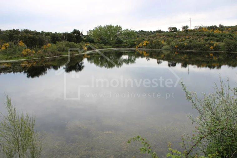 Quinta T7 para Venda em Monsanto e Idanha-A-Velha Foto 12