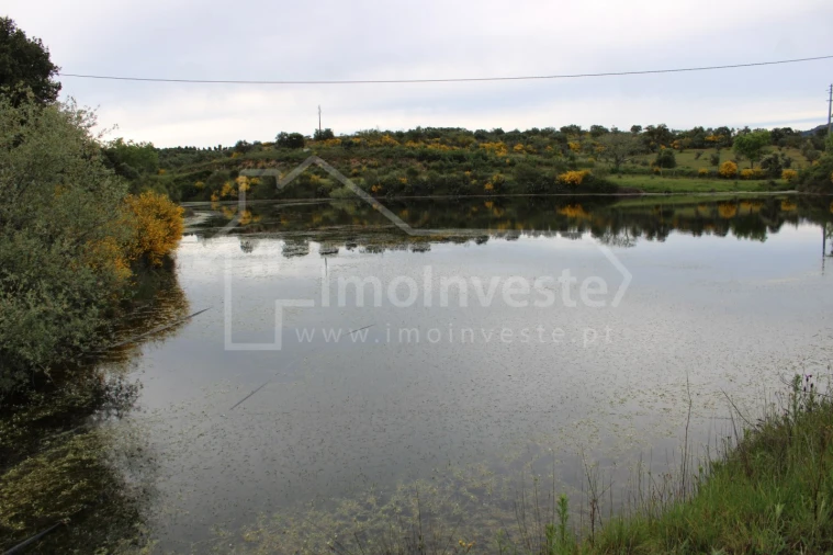 Quinta T7 para Venda em Monsanto e Idanha-A-Velha Foto 11