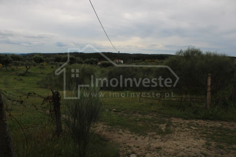 Quinta T7 para Venda em Monsanto e Idanha-A-Velha Foto 16