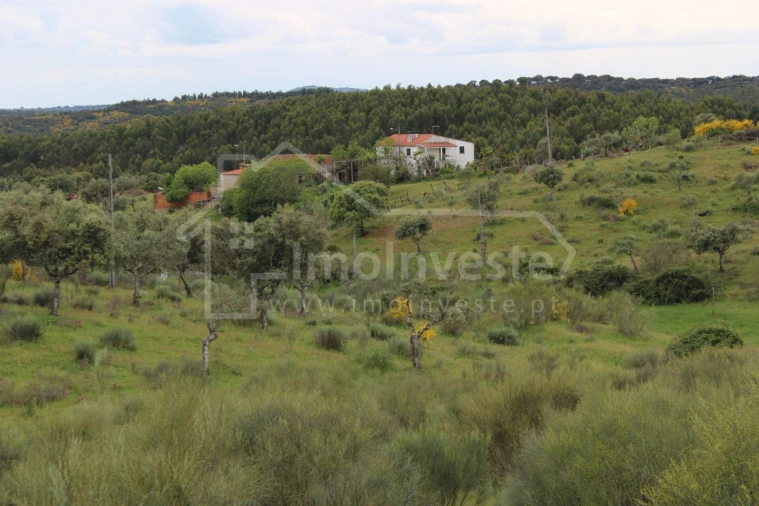 Quinta T7 para Venda em Monsanto e Idanha-A-Velha Foto 15