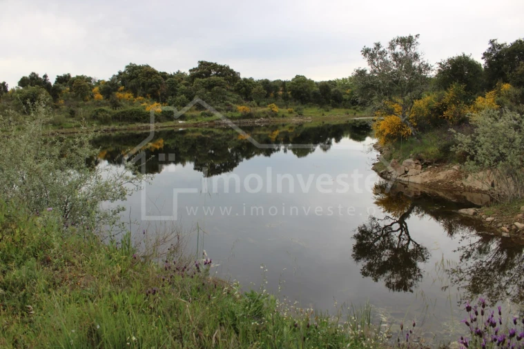 Quinta T7 para Venda em Monsanto e Idanha-A-Velha Foto 17