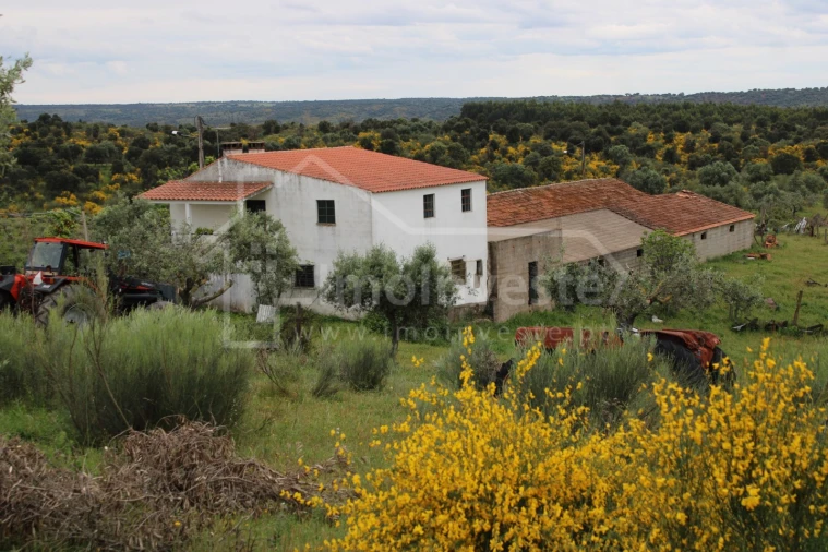 Quinta T7 para Venda em Monsanto e Idanha-A-Velha Foto 2