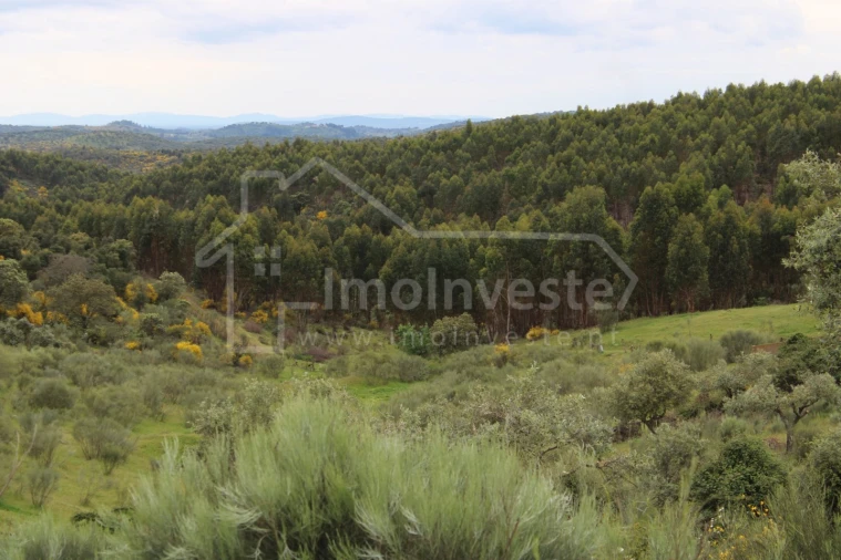 Quinta T7 para Venda em Monsanto e Idanha-A-Velha Foto 25