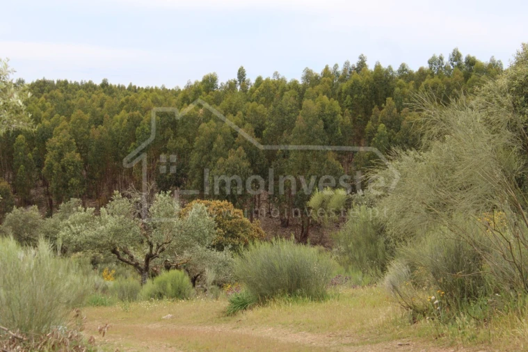 Quinta T7 para Venda em Monsanto e Idanha-A-Velha Foto 26