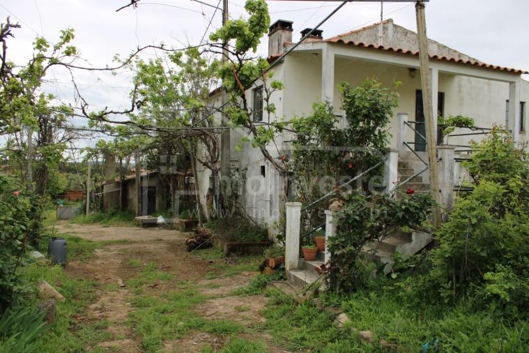 Quinta T7 para Venda em Monsanto e Idanha-A-Velha Foto 4