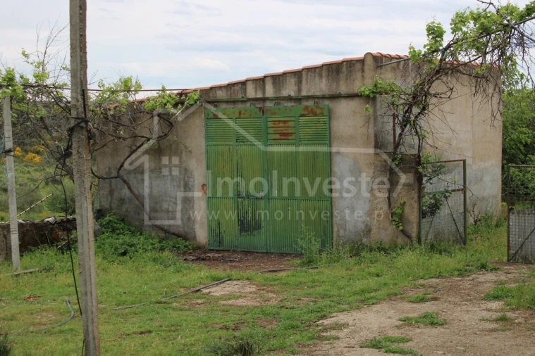 Quinta T7 para Venda em Monsanto e Idanha-A-Velha Foto 5