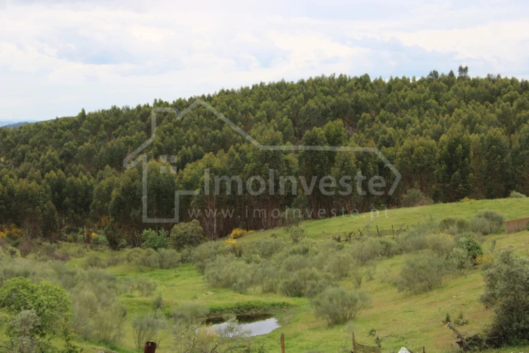 Quinta T7 para Venda em Monsanto e Idanha-A-Velha Foto 24