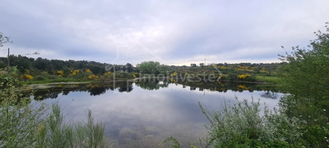 Quinta T7 para Venda em Monsanto e Idanha-A-Velha Foto 13