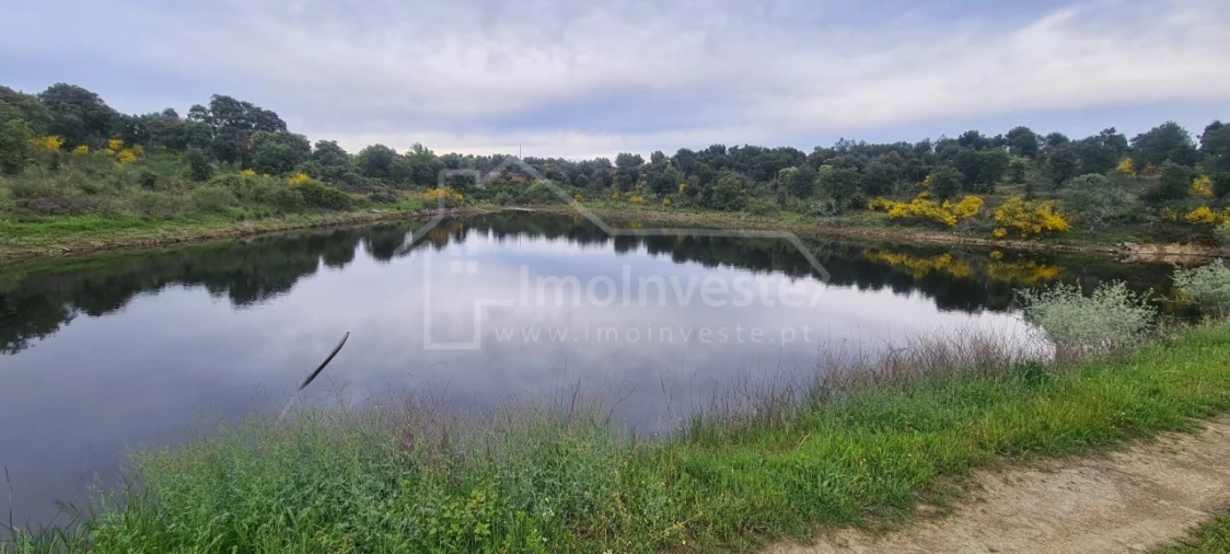 Quinta T7 para Venda em Monsanto e Idanha-A-Velha Foto 19