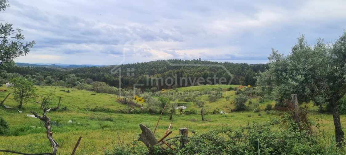 Quinta T7 para Venda em Monsanto e Idanha-A-Velha Foto 28