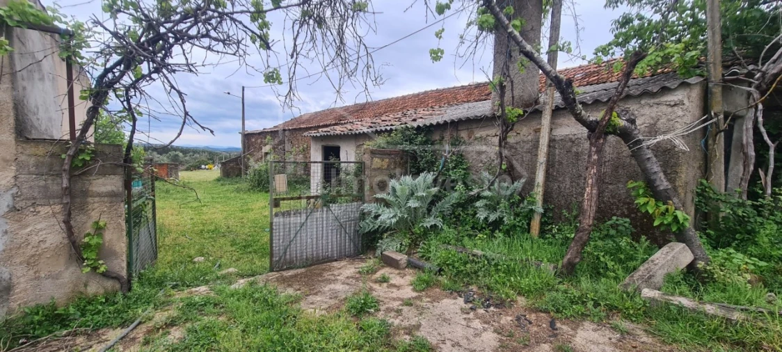 Quinta T7 para Venda em Monsanto e Idanha-A-Velha Foto 9