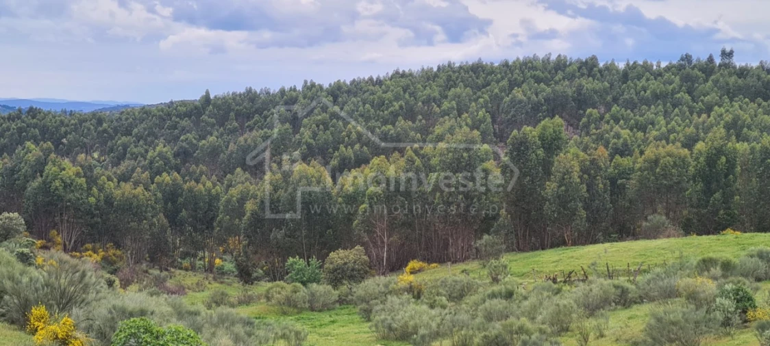 Quinta T7 para Venda em Monsanto e Idanha-A-Velha Foto 29