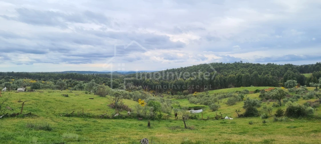 Quinta T7 para Venda em Monsanto e Idanha-A-Velha Foto 32