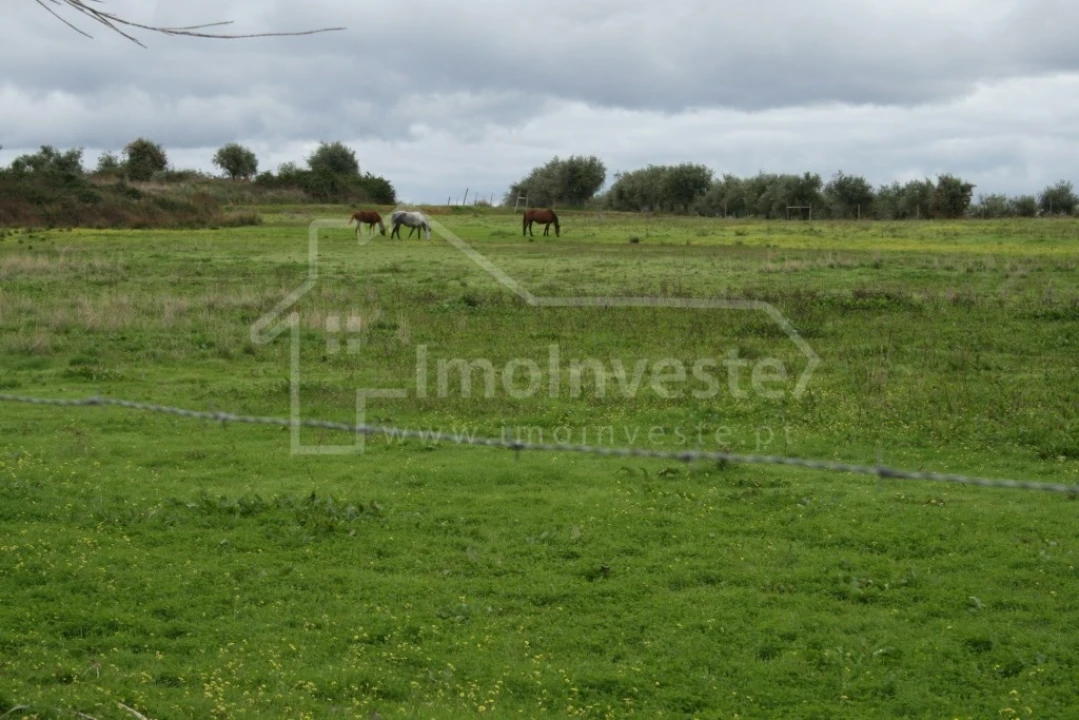 Quinta T4 para Venda em Ladoeiro Foto 2