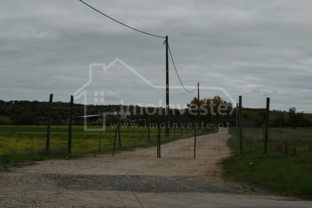 Quinta T4 para Venda em Ladoeiro Foto 6