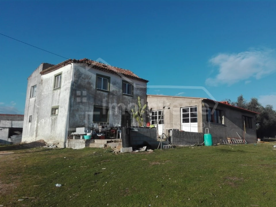 Quinta T4 para Venda em Ladoeiro Foto 9