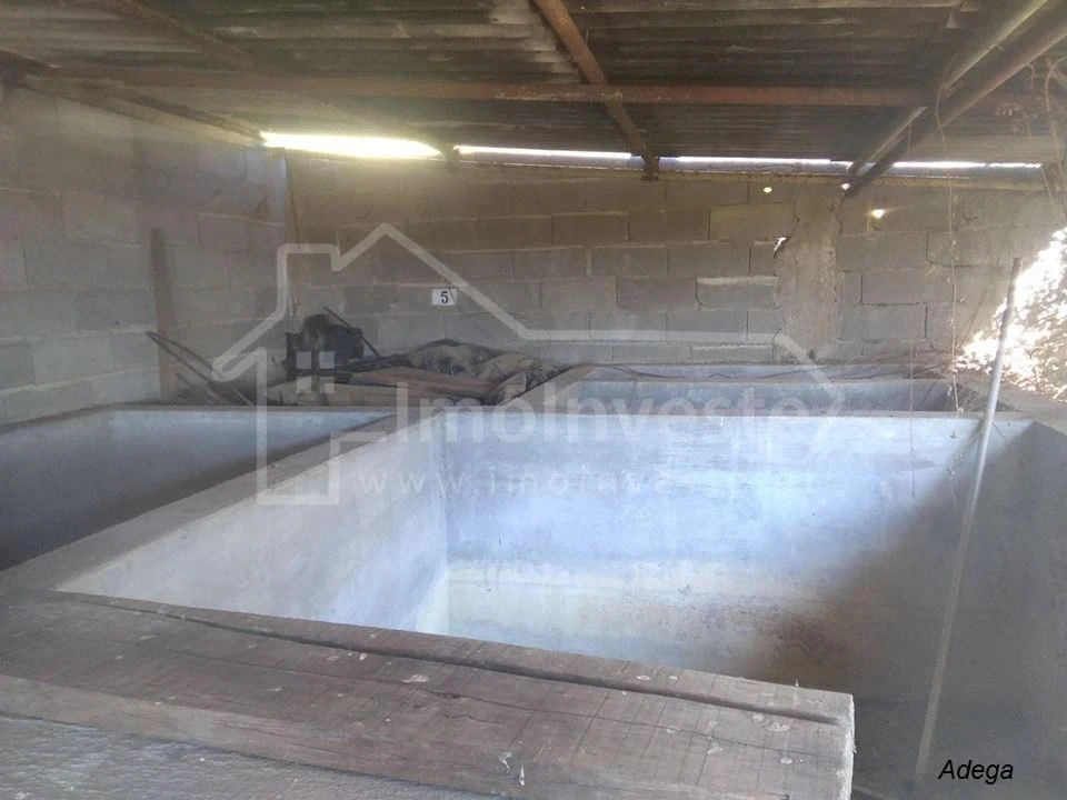 Quinta T4 para Venda em Ladoeiro Foto 13