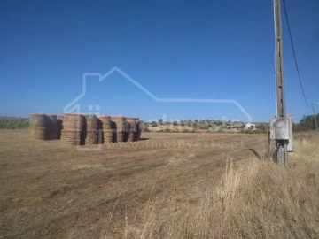 Quinta T4 para Venda em Ladoeiro