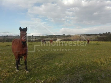 Quinta T4 para Venda em Ladoeiro