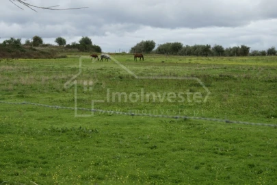 Quinta T4 para Venda em Ladoeiro