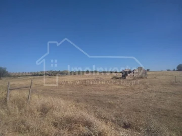 Quinta T4 para Venda em Ladoeiro