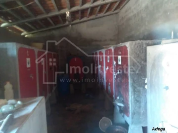 Quinta T4 para Venda em Ladoeiro