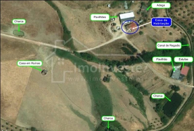 Quinta T4 para Venda em Ladoeiro