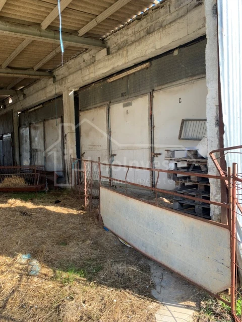 Quinta T4 para Venda em Ladoeiro