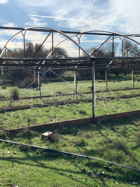 Quinta T4 para Venda em Ladoeiro