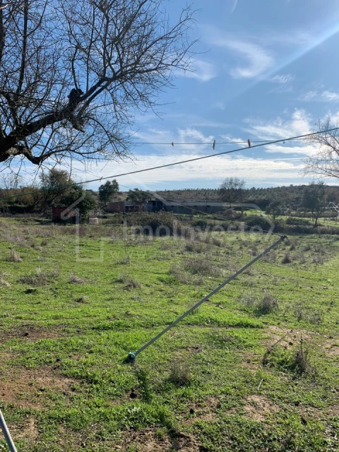 Quinta T4 para Venda em Ladoeiro