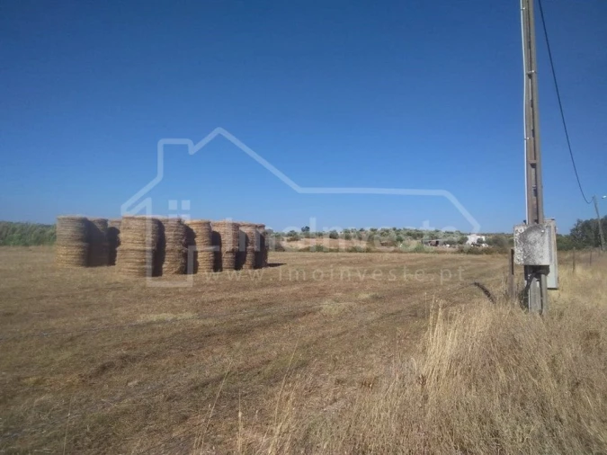 Quinta T4 para Venda em Ladoeiro Foto 5