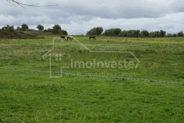 Quinta T4 para Venda em Ladoeiro Foto 2