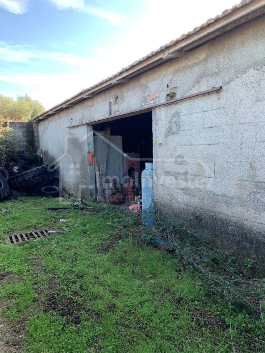 Quinta T4 para Venda em Ladoeiro Foto 18