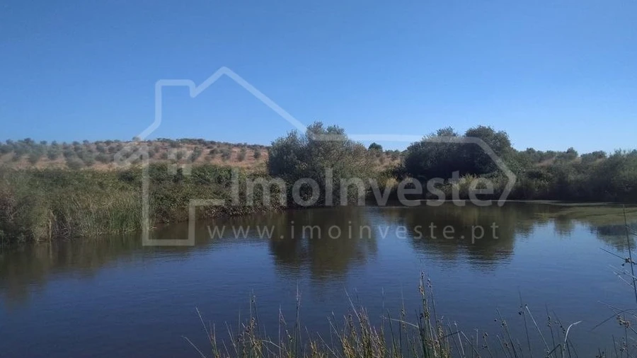 Quinta T4 para Venda em Ladoeiro