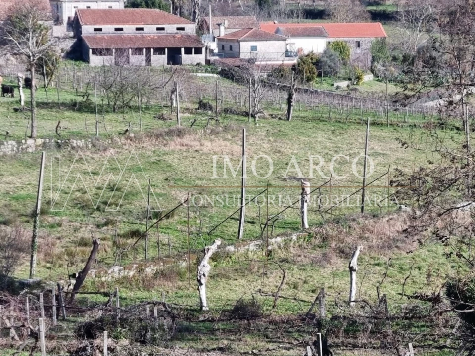 Quinta T3 para Venda em Cavez Foto 26