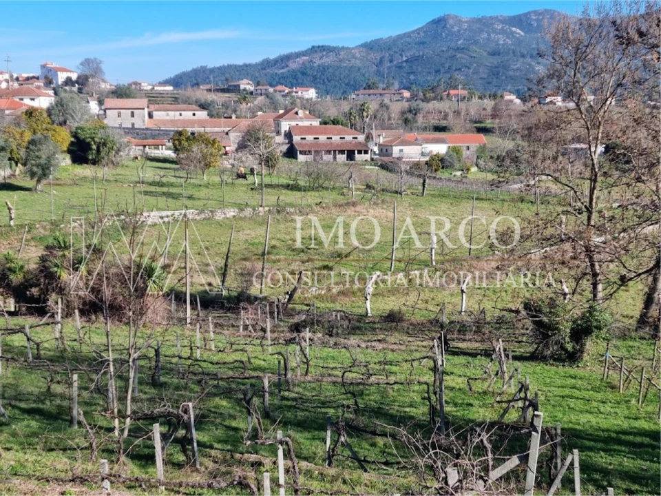 Quinta T3 para Venda em Cavez Foto 29