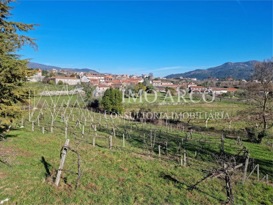 Quinta T3 para Venda em Cavez Foto 32