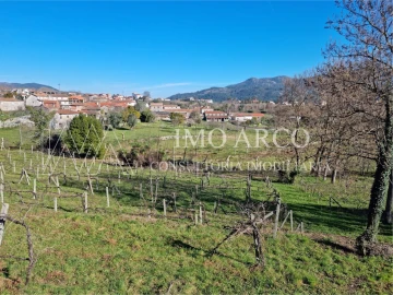 Quinta T3 para Venda em Cavez