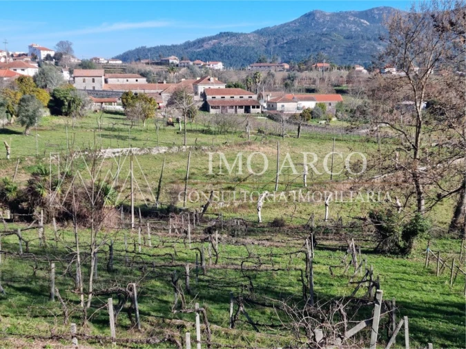 Quinta T3 para Venda em Cavez Foto 29