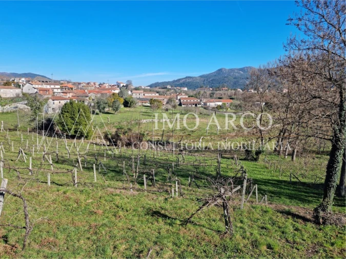 Quinta T3 para Venda em Cavez Foto 30