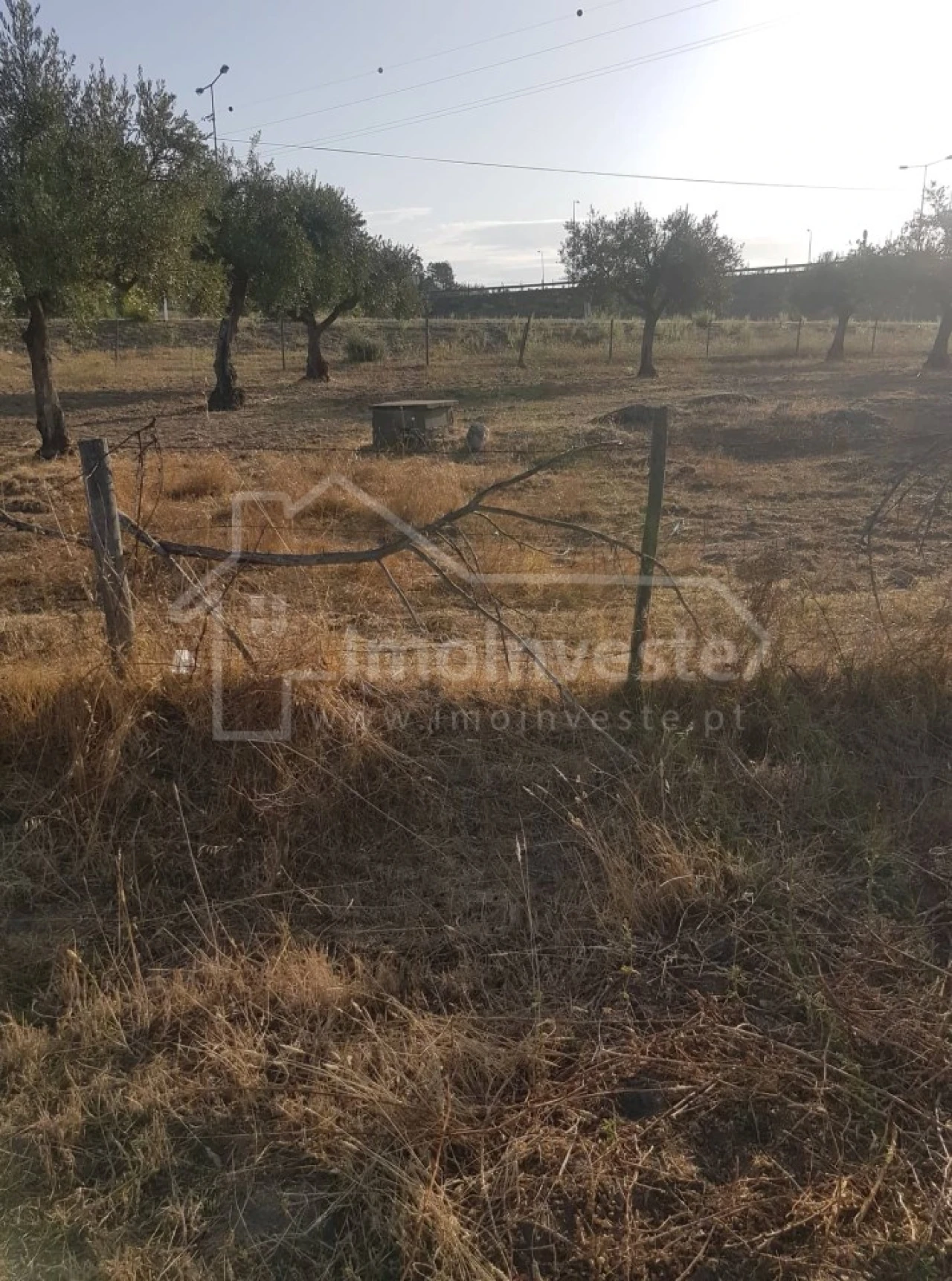 Quinta T2 para Venda em Alcains Foto 32