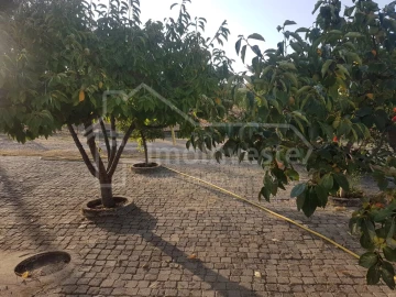 Quinta T2 para Venda em Alcains