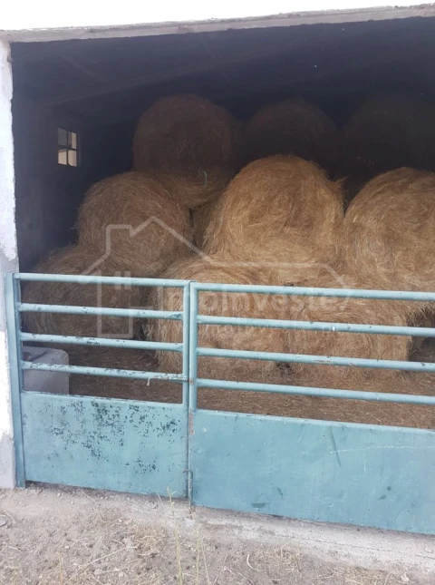 Quinta T2 para Venda em Alcains