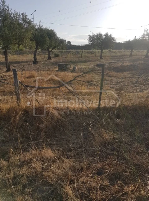 Quinta T2 para Venda em Alcains