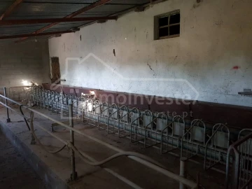 Quinta T2 para Venda em Alcains