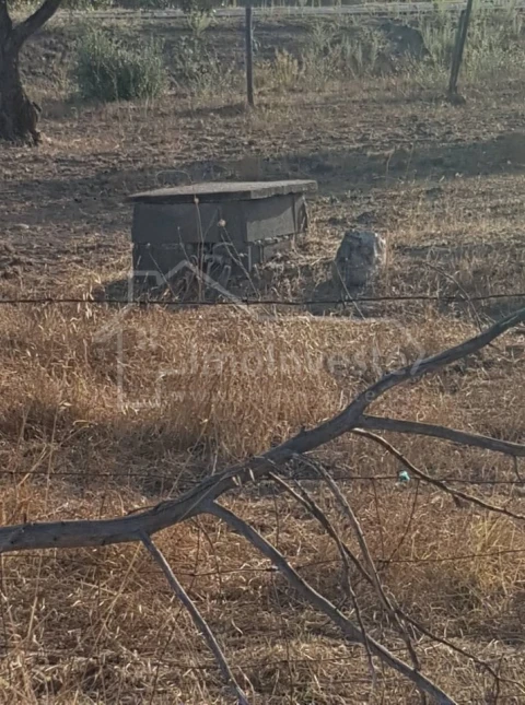Quinta T2 para Venda em Alcains